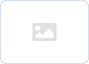 avatar logo partner
